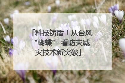 科技铸盾！从台风“蝴蝶” 看防灾减灾技术新突破