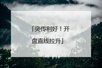 突传利好！开盘直线拉升