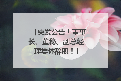 突发公告！董事长、董秘、副总经理集体辞职！