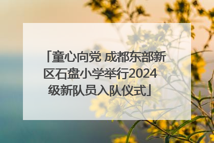童心向党 成都东部新区石盘小学举行2024级新队员入队仪式