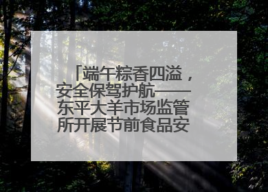 端午粽香四溢，安全保驾护航——东平大羊市场监管所开展节前食品安全专项检查
