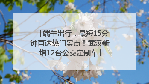端午出行，最短15分钟直达热门景点！武汉新增12台公交定制车