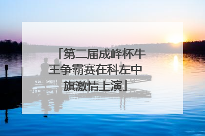 第二届成峰杯牛王争霸赛在科左中旗激情上演