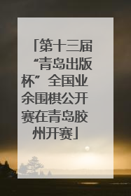 第十三届“青岛出版杯”全国业余围棋公开赛在青岛胶州开赛