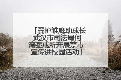 翼护雏鹰助成长 武汉市司法局何湾强戒所开展禁毒宣传进校园活动