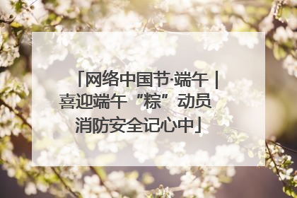 网络中国节·端午｜喜迎端午“粽”动员 消防安全记心中