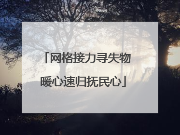网格接力寻失物 暖心速归抚民心