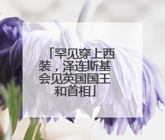 罕见穿上西装，泽连斯基会见英国国王和首相