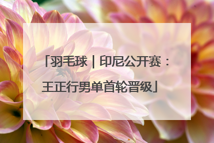 羽毛球｜印尼公开赛：王正行男单首轮晋级