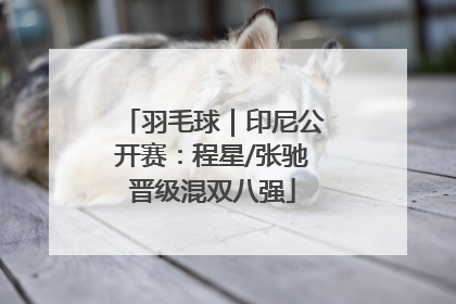 羽毛球｜印尼公开赛：程星/张驰晋级混双八强