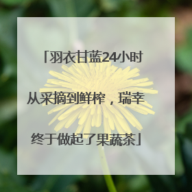 羽衣甘蓝24小时从采摘到鲜榨，瑞幸终于做起了果蔬茶
