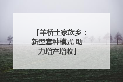 羊桥土家族乡：新型套种模式 助力增产增收