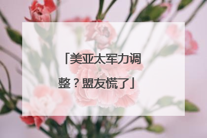 美亚太军力调整？盟友慌了