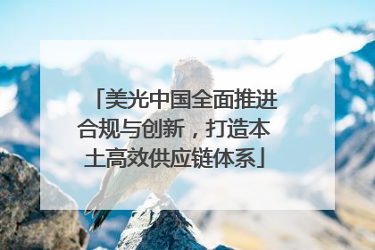 美光中国全面推进合规与创新，打造本土高效供应链体系