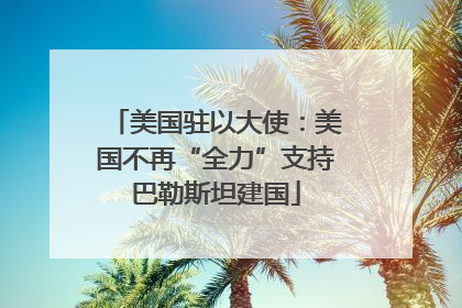 美国驻以大使：美国不再“全力”支持巴勒斯坦建国