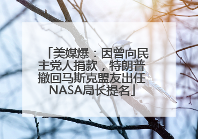 美媒爆：因曾向民主党人捐款，特朗普撤回马斯克盟友出任NASA局长提名