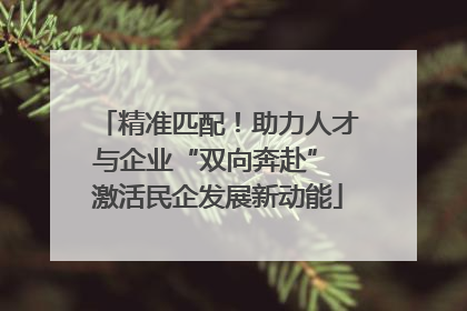 精准匹配！助力人才与企业“双向奔赴” 激活民企发展新动能