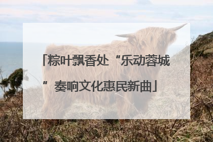 粽叶飘香处“乐动蓉城”奏响文化惠民新曲