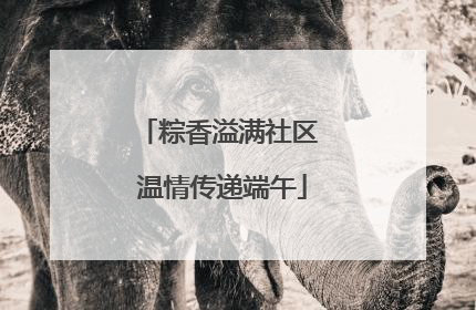 粽香溢满社区 温情传递端午