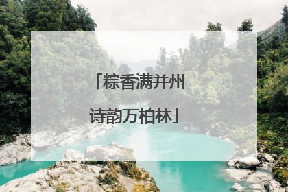 粽香满并州 诗韵万柏林
