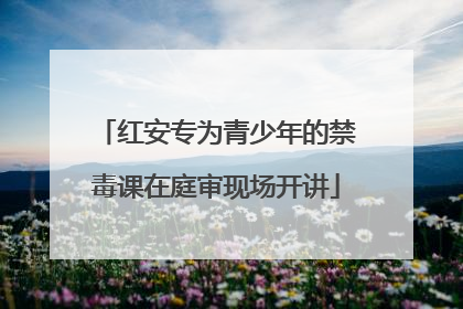 红安专为青少年的禁毒课在庭审现场开讲