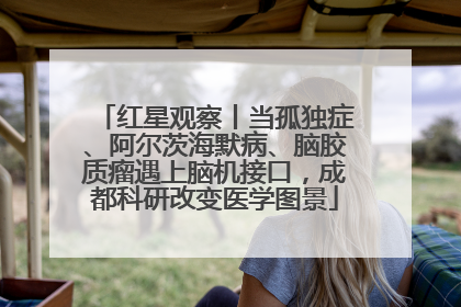 红星观察丨当孤独症、阿尔茨海默病、脑胶质瘤遇上脑机接口，成都科研改变医学图景
