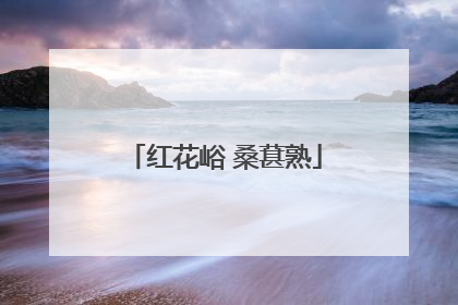 红花峪 桑葚熟