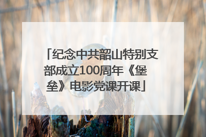纪念中共韶山特别支部成立100周年《堡垒》电影党课开课