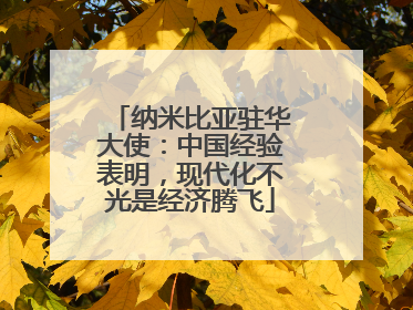 纳米比亚驻华大使：中国经验表明，现代化不光是经济腾飞
