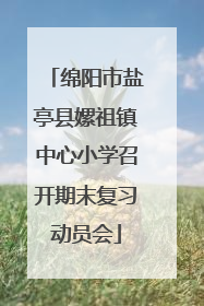 绵阳市盐亭县嫘祖镇中心小学召开期末复习动员会