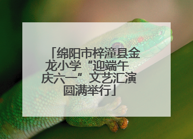 绵阳市梓潼县金龙小学“迎端午 庆六一”文艺汇演圆满举行