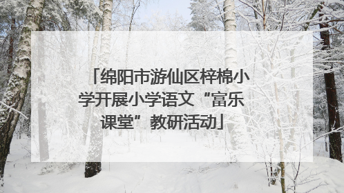 绵阳市游仙区梓棉小学开展小学语文“富乐课堂”教研活动