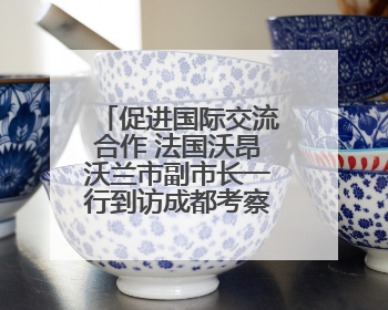 促进国际交流合作 法国沃昂沃兰市副市长一行到访成都考察交流