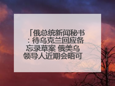 俄总统新闻秘书：待乌克兰回应备忘录草案 俄美乌领导人近期会晤可能性小