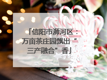 信阳市浉河区：万亩茶庄园飘出“三产融合”香