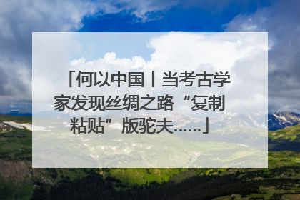 何以中国丨当考古学家发现丝绸之路“复制粘贴”版驼夫……