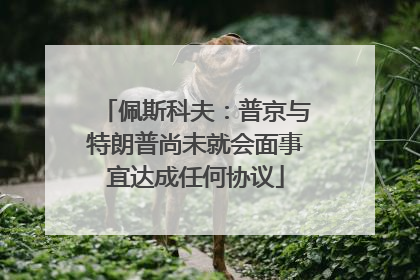 佩斯科夫：普京与特朗普尚未就会面事宜达成任何协议