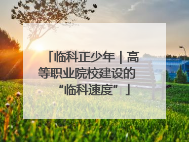 临科正少年｜高等职业院校建设的“临科速度”