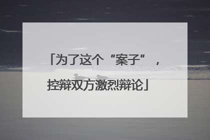 为了这个“案子”，控辩双方激烈辩论