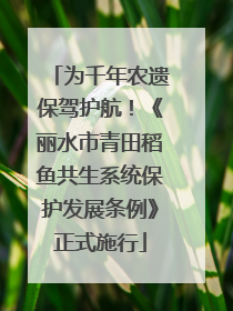 为千年农遗保驾护航！《丽水市青田稻鱼共生系统保护发展条例》正式施行