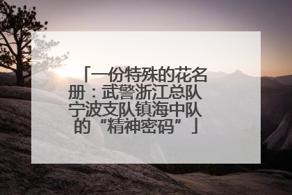 一份特殊的花名册：武警浙江总队宁波支队镇海中队的“精神密码”