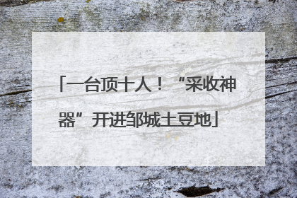 一台顶十人！“采收神器”开进邹城土豆地