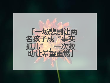 一场悲剧让两名孩子成“事实孤儿”，一次救助让希望重燃