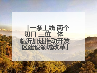 一条主线 两个切口 三位一体 临沂加速推动开发区建设领域改革
