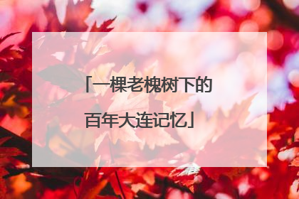 一棵老槐树下的百年大连记忆