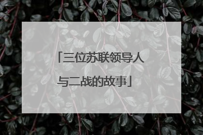 三位苏联领导人与二战的故事