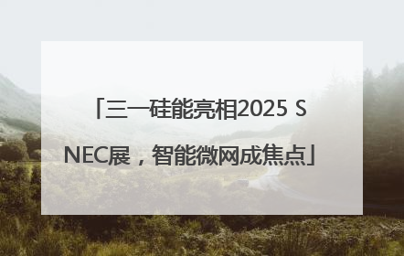 三一硅能亮相2025 SNEC展，智能微网成焦点