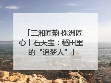 三湘匠韵·株洲匠心丨石天宝：稻田里的“追梦人”