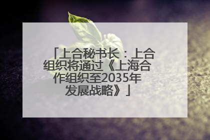 上合秘书长：上合组织将通过《上海合作组织至2035年发展战略》