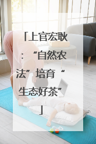上官宏耿：“自然农法”培育“生态好茶”